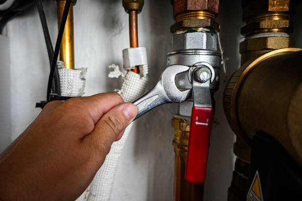 Best Plumbing Repair Near Me  in Delavan Lake, WI